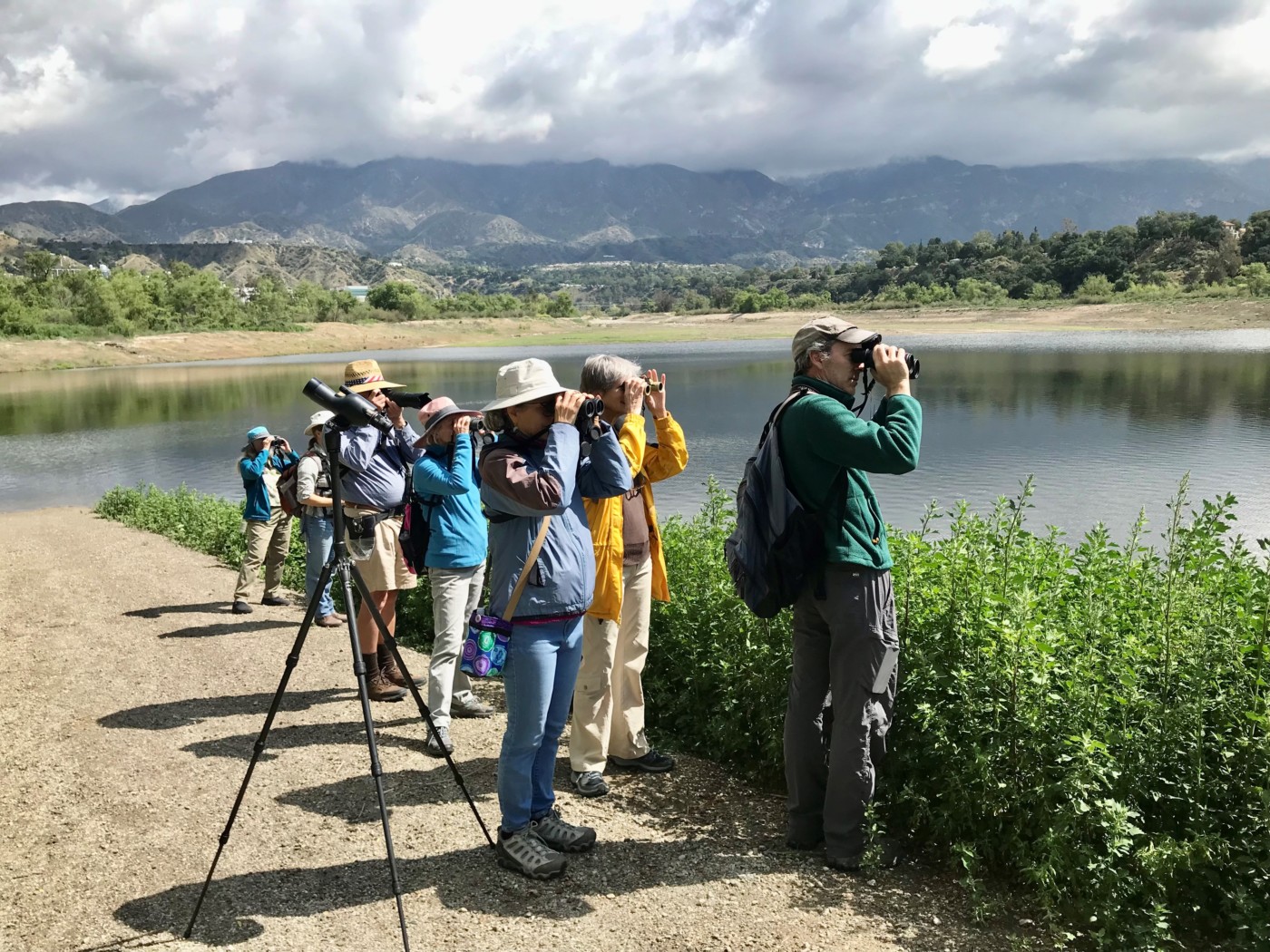 Partners for the Birds Pasadena Audubon Society Receives PCF Wildlife