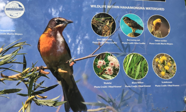 A sign at Pasadena's Hahamongna Watershed Park showcases the many birds found in the region.