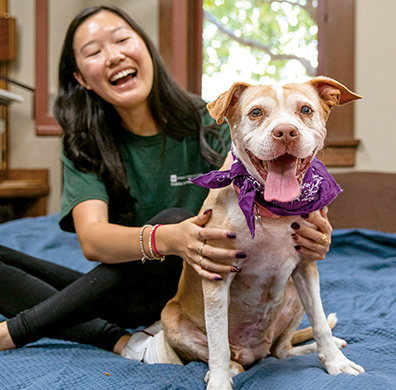 A young Asian woman wearing a green shirt sits on the floor laughing and smiling while holding onto a pit bull type dog. The dog looks directly at the camera, happy and comfortable - it wears a purple bandana and its pink tongue is sticking out.