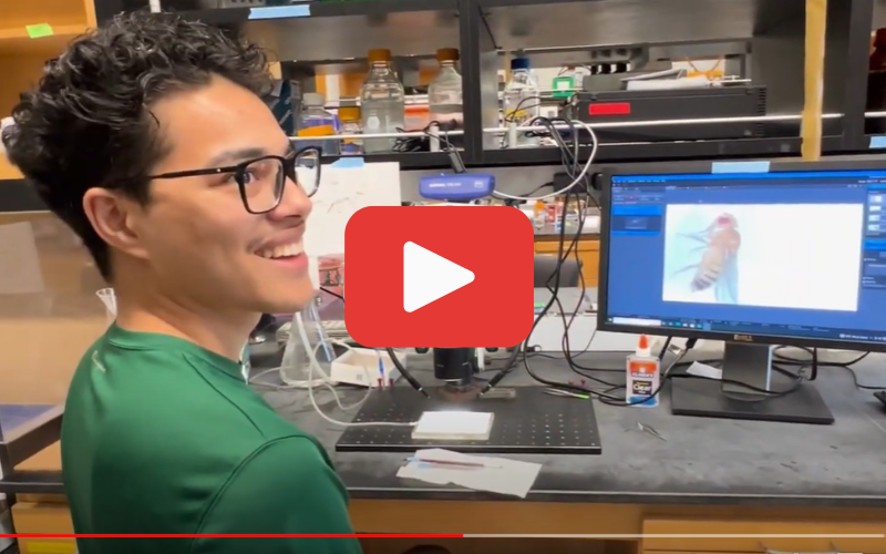 A photograph of a college-age Latino young man in a science lab has been altered to show a red "press play" button in the middle, indicating that you can click on it to watch a video. 