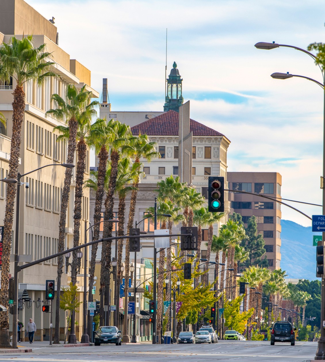 Street view with buildings and palm trees