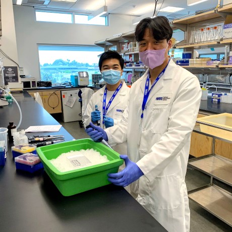 Two scientists in a lab