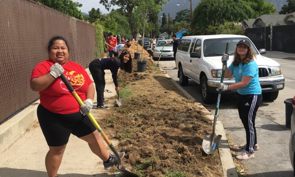 Group of workers landscaping a patch of grass along a sidewalk