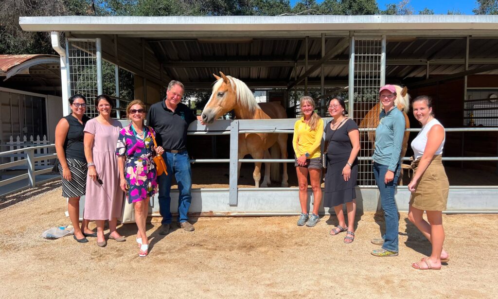 Group taking a photo with a horse in a stable