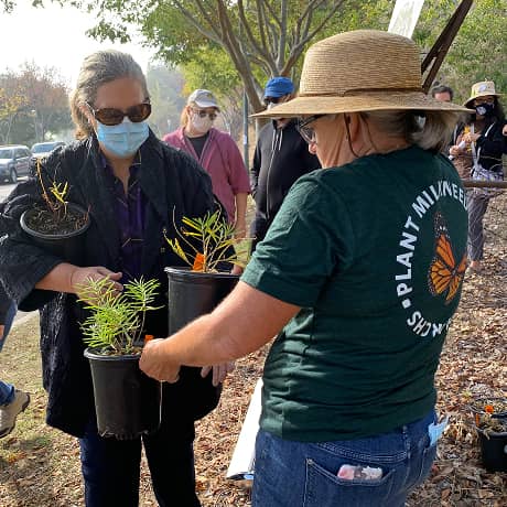 Two people holding plants awaiting to be planted
