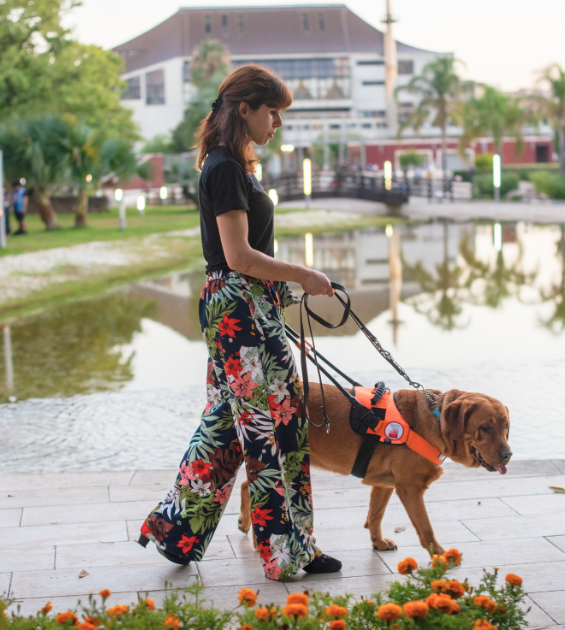 A blind woman walks in a city by a pond with her seeing-eye dog