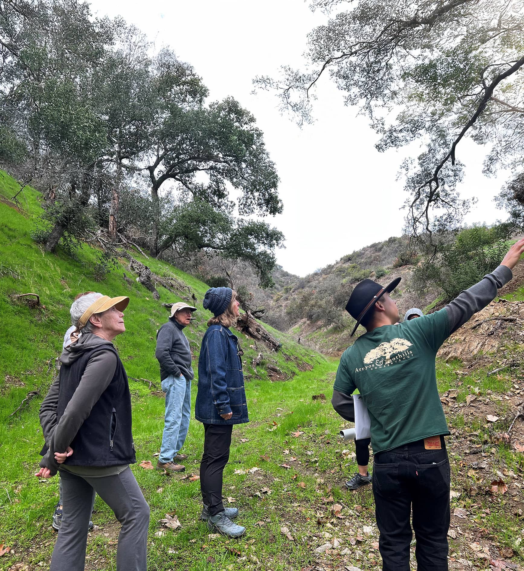 People in a valley pointing and looking up